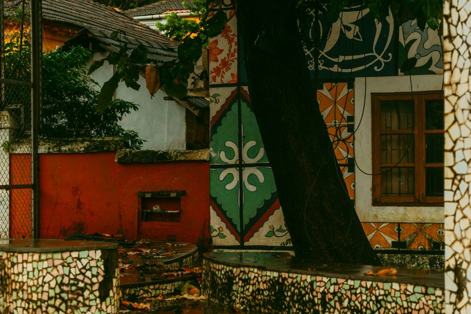 Colorfully painted wall with a tree in front of it.
